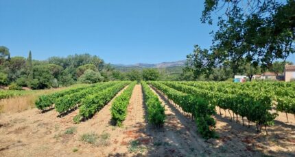 Cogolin Terrain à bâtir - 2472901-11157annonce220260331X4nAq.jpeg Maisons Open