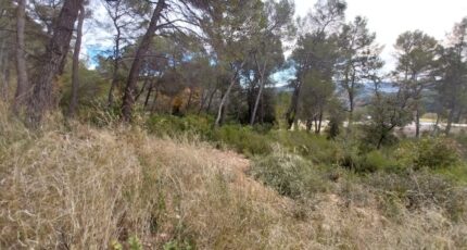 Salernes Terrain à bâtir - 2472884-11157annonce420260331rOeAO.jpeg Maisons Open