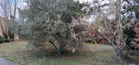 Terrain à bâtir à Marsillargues, Occitanie