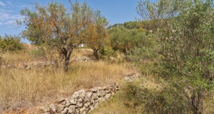 Lorgues Terrain à bâtir - 2382178-10295annonce120260106Gk6e8.jpeg Maisons Open