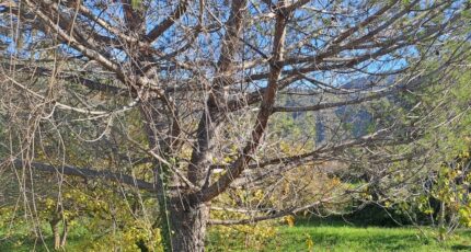 Carros Terrain à bâtir - 2382914-10316annonce320260106IOo2d.jpeg Maisons Open