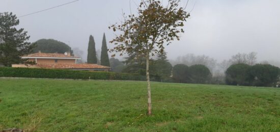 Terrain à bâtir à L'Union, Occitanie