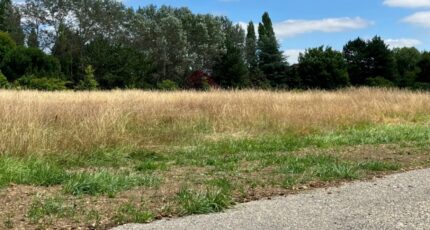 Fontcouverte Terrain à bâtir - 2383975-10974annonce220260107eTOMa.jpeg Maisons Open