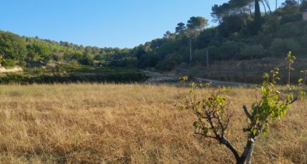 Cotignac Terrain à bâtir - 2384146-10744annonce120251001c2BGn.jpeg Maisons Open