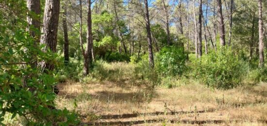 Terrain à bâtir à , Var