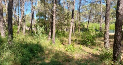 Bagnols-en-Forêt Terrain à bâtir - 2385025-11157annonce420260107uNh4H.jpeg Maisons Open