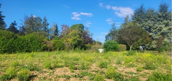 Terrain à bâtir à Auffargis, Île-de-France