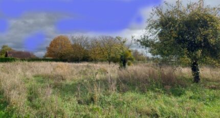 Égreville Terrain à bâtir - 2387806-4684annonce120260109npAz7.jpeg Maisons Open