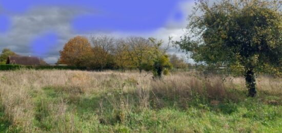 Terrain à bâtir à Égreville, Île-de-France