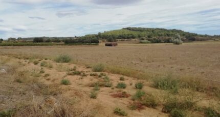 Lignan-sur-Orb Terrain à bâtir - 2389601-11018annonce320260112UJ0t9.jpeg Maisons Open