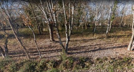 Montesquieu-Volvestre Terrain à bâtir - 2389931-10326annonce220260112GFpEu.jpeg Maisons Open