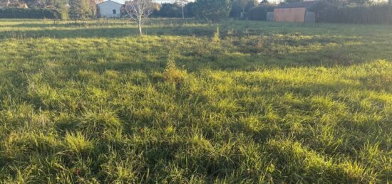 Terrain à bâtir à Pompignan, Occitanie