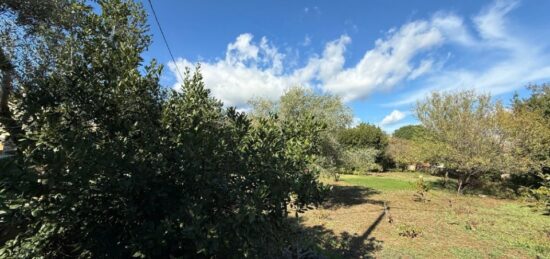 Terrain à bâtir à La Crau, Provence-Alpes-Côte d'Azur