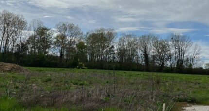 Viterbe Terrain à bâtir - 2394645-2684annonce3202601151lHQT.jpeg Maisons Open