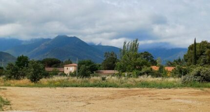 Vinça Terrain à bâtir - 2395295-4671annonce120260116LncNh.jpeg Maisons Open