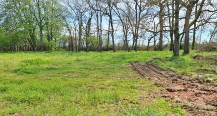 Léguevin Terrain à bâtir - 2395529-9555annonce220260116z3nMg.jpeg Maisons Open