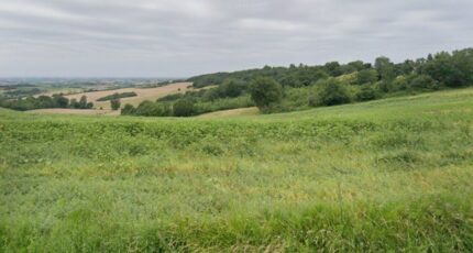 L'Isle-Jourdain Terrain à bâtir - 2395460-9555annonce120260116Is5Rz.jpeg Maisons Open