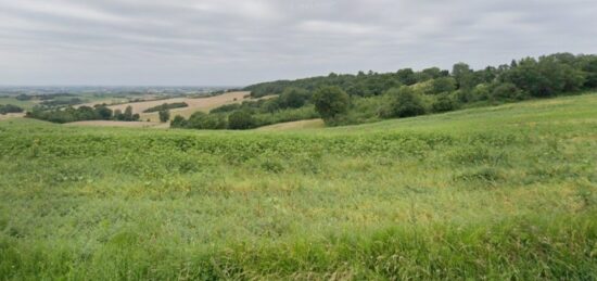 Terrain à bâtir à L'Isle-Jourdain, Occitanie