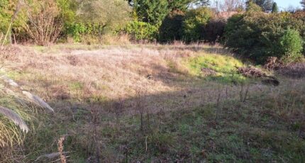 Tournefeuille Terrain à bâtir - 2395224-9555annonce120260116aAhAg.jpeg Maisons Open