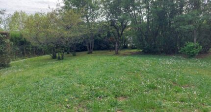 Montrabé Terrain à bâtir - 2395301-5604annonce320260116cMNmx.jpeg Maisons Open