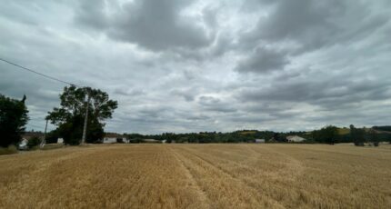 Villenouvelle Terrain à bâtir - 2397353-11450annonce1202601198tsxa.jpeg Maisons Open