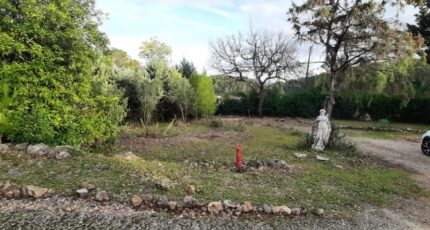 Le Thoronet Terrain à bâtir - 2398674-10295annonce220260120uGCmT.jpeg Maisons Open