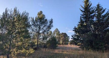 Valflaunès Terrain à bâtir - 2399298-3243annonce120260120i9oTT.jpeg Maisons Open