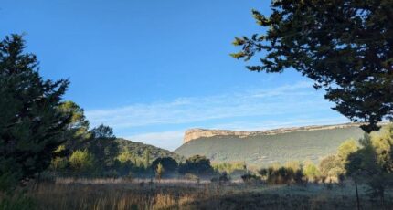 Valflaunès Terrain à bâtir - 2399298-3243annonce320260120ez7mo.jpeg Maisons Open