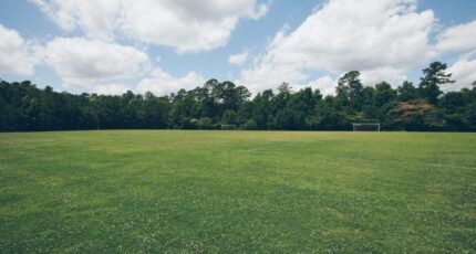 Villaudric Terrain à bâtir - 2397855-3925annonce120260119t2PUE.jpeg Maisons Open