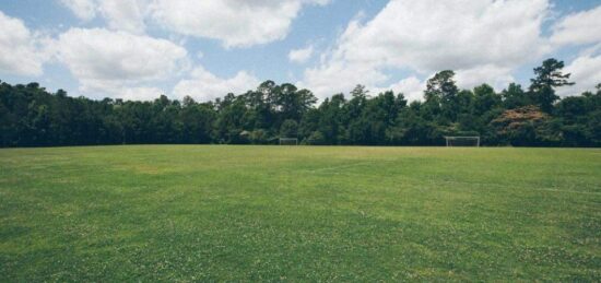 Terrain à bâtir à Villaudric, Occitanie