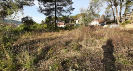 Draguignan Terrain à bâtir - 2399976-10295annonce220260121O2Hfq.jpeg Maisons Open