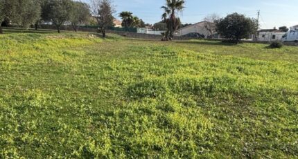 Roquebrune-sur-Argens Terrain à bâtir - 2400324-5826annonce120260121OZRAx.jpeg Maisons Open