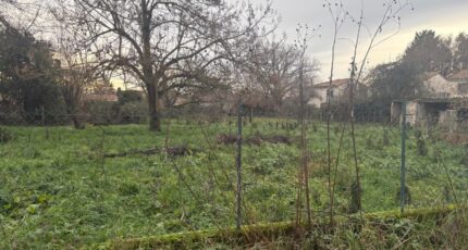 Mirepoix-sur-Tarn Terrain à bâtir - 2400256-11356annonce220260121eimrg.jpeg Maisons Open