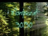  2401392-3243annonce220250922GdpOk.jpeg Maisons Open