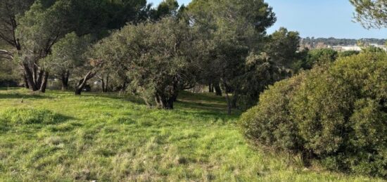 Terrain à bâtir à , Var