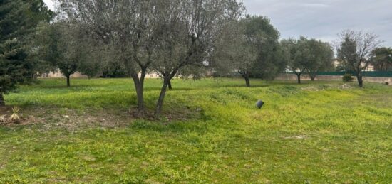 Terrain à bâtir à Roquebrune-sur-Argens, Provence-Alpes-Côte d'Azur
