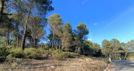 Salernes Terrain à bâtir - 2402362-9911annonce120260122prWuK.jpeg Maisons Open