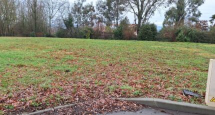 L'Isle-Jourdain Terrain à bâtir - 2403697-9555annonce220260123DqgTT.jpeg Maisons Open