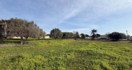 Roquebrune-sur-Argens Terrain à bâtir - 2405017-6013annonce120260123q67s9.jpeg Maisons Open