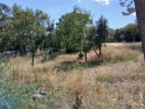  2407024-11040annonce1202601267TlXu.jpeg Maisons Open
