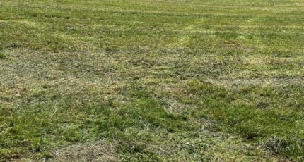 Pont-l'Abbé-d'Arnoult Terrain à bâtir - 2407901-10974annonce120260127GLPrV.jpeg Maisons Open