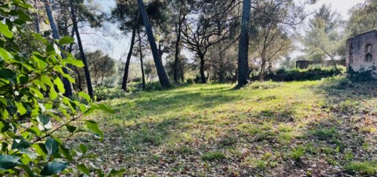 Terrain à bâtir à , Var