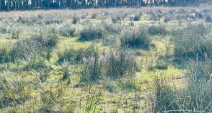 La Garde Terrain à bâtir - 2408060-9707annonce120260127Oklur.jpeg Maisons Open