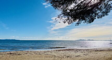 La Garde Terrain à bâtir - 2408060-9707annonce3202601279LdQe.jpeg Maisons Open