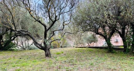 Pignans Terrain à bâtir - 2409191-9707annonce120260127qT72a.jpeg Maisons Open