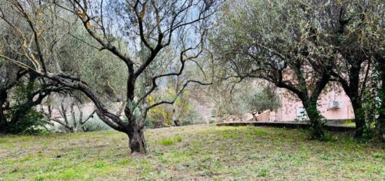Terrain à bâtir à Pignans, Provence-Alpes-Côte d'Azur