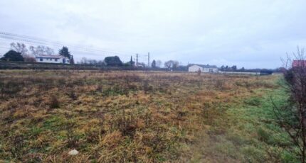 Palaminy Terrain à bâtir - 2409006-10326annonce1202601271nDPN.jpeg Maisons Open