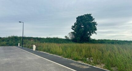 Ribécourt-Dreslincourt Terrain à bâtir - 2411995-4496annonce120260320Cq0nu.jpeg Maisons Open