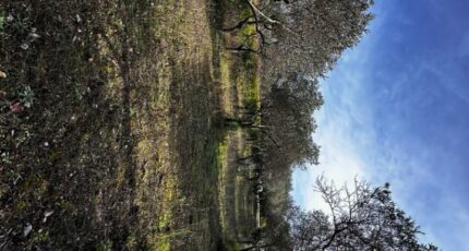 Lorgues Terrain à bâtir - 2412473-annonceTerrain-20260323100549.JPEG Maisons Open