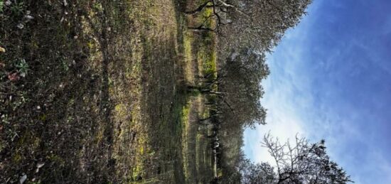 Terrain à bâtir à Lorgues, Provence-Alpes-Côte d'Azur